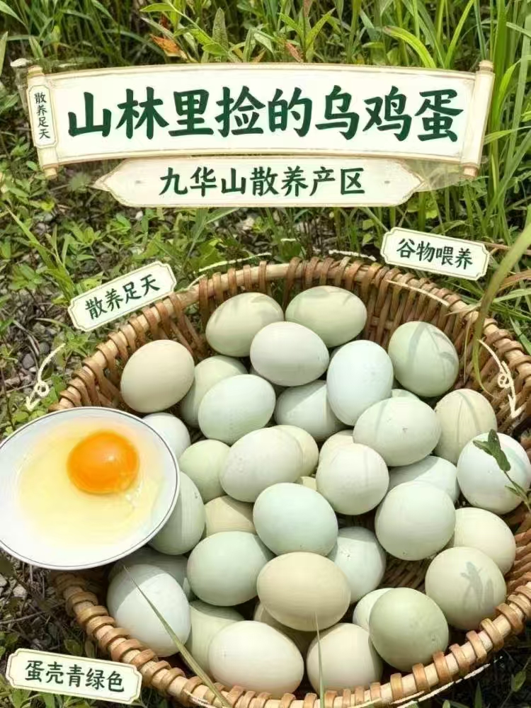 九华山土鸡蛋 60枚 一箱