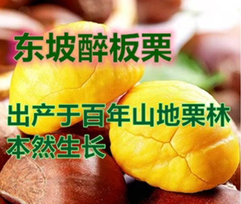 山东山地生态板栗